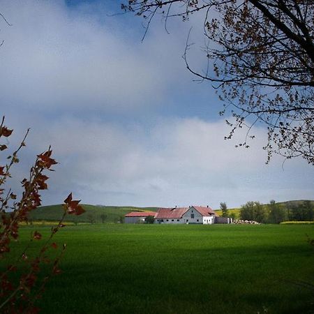 Bed & Breakfast Vinkille Löderup Exterior foto