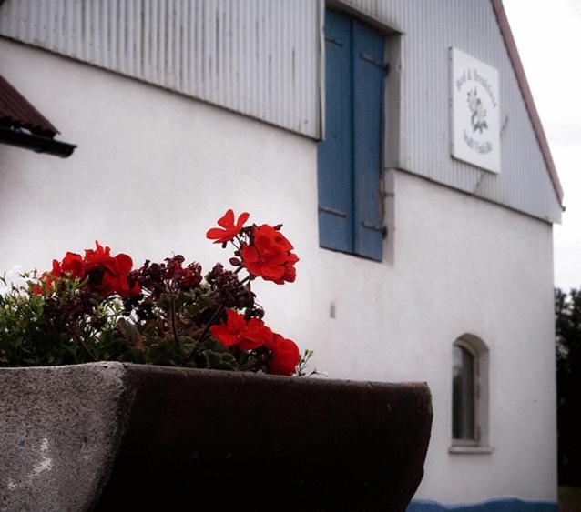 Bed & Breakfast Vinkille Löderup Exterior foto